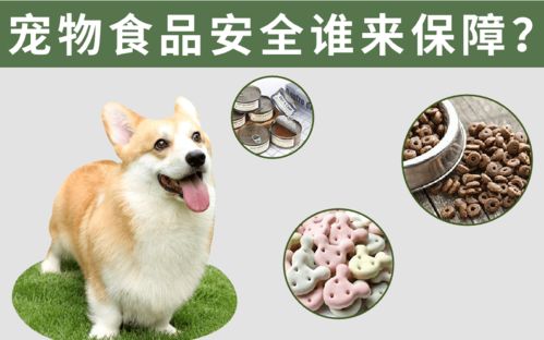 寵物食品安全誰來保障？