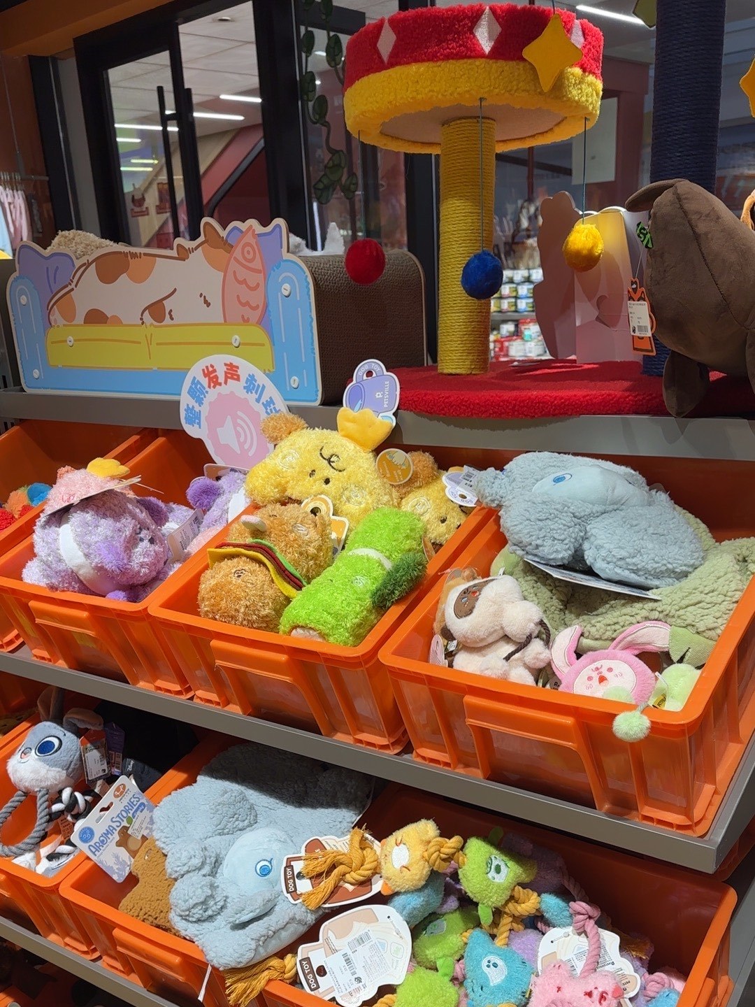 寵物超市中的寵食天地 品質與環(huán)境的雙重保障